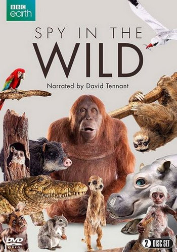 Шпионы в дикой природе (1 сезон: 1-5 серий из 5) / Spy in the Wild VO