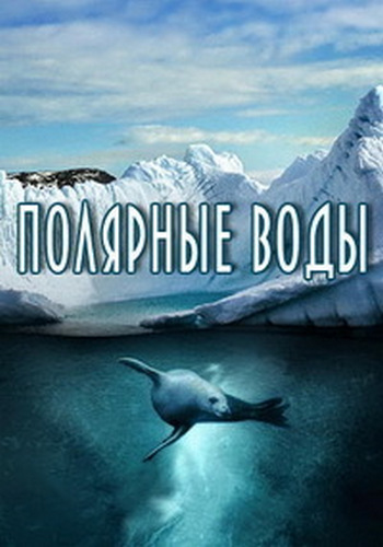 Полярные воды (1 сезон: 1-10 серии из 10) / The Polar Sea DVO
