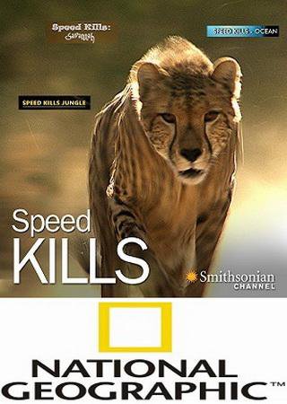 Королева скорости / NAT GEO WILD. Queen of the chase DUB