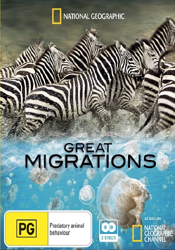Великие миграции (1-7 серии из 7) / National Geographic. Great Migrations DUB