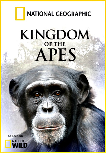 Королевство обезьян: Брат против брата / NAT GEO WILD. Kingdom Of The Apes: Brother vs. Brother DUB