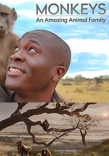 Обезьяны - Удивительное семейство животных (3 серии из 3) / Monkeys An Amazing Animal Family VO