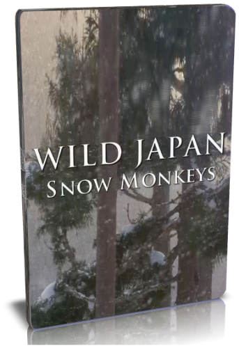 Дикая Япония. Снежные обезьяны / NAT GEO WILD. Wild Japan. Snow monkeys VO