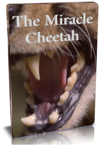 Чудо-гепард / NAT GEO WILD. The miracle cheetah VO