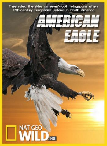 Белоголовый орлан / NAT GEO WILD. American Eagle VO