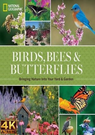 Прекрасный сад (1-2 серии из 2) / National Geographic. Beautiful garden