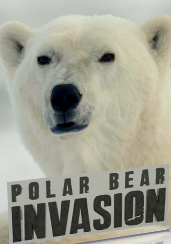 Нашествие полярных медведей / Polar bear invasion VO