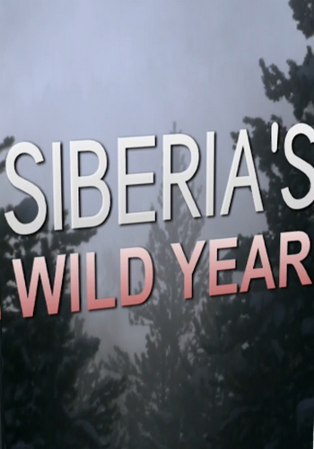 Год диких животных: Сибирь / Siberia's wild year VO