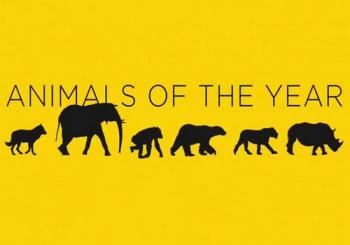 Животные года / Animals of the Year VO