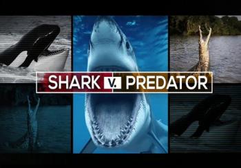 Акула против хищника / Shark v. Predator VO