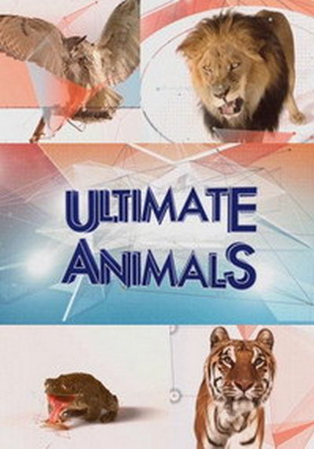 Увлекательная зоология: лучшее (8 эпизодов) / Ultimate Animals VO