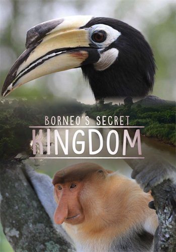 Секретное королевство Борнео: странные и дикие / Borneo's Secret Kingdom: Weird and Wild VO