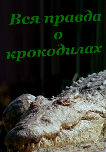 Вся правда о крокодилах / The dark side of crocs VO