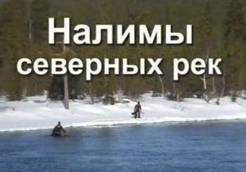 Подводная охота с Александром Кочубеем. Налимы северных рек