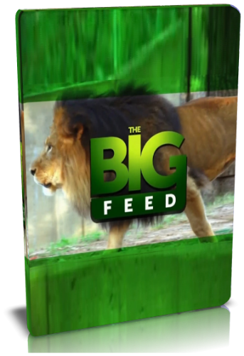 Зверский общепит / NAT GEO WILD. The Big Feed DVO