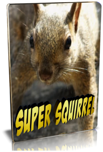 Супер-белки / NAT GEO WILD. Super Squierrel VO