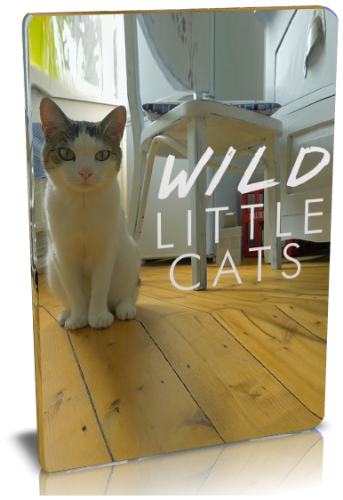 Дикие маленькие кошки / NAT GEO WILD. Wild little cats VO