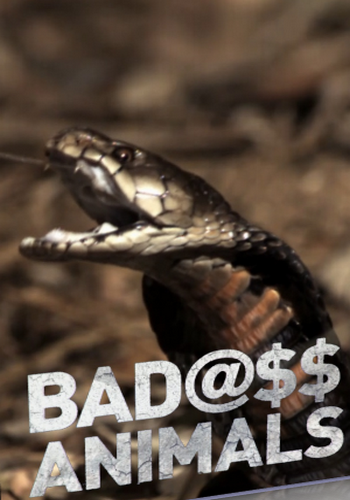 Животные-хулиганы / NAT GEO WILD. Badass Animals VO