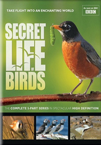 Тайная жизнь птиц (1-5 серии из 5) / Secret Life of Birds DUB