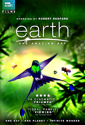 Земля: Один потрясающий день / BBC. Earth: One Amazing Day DUB