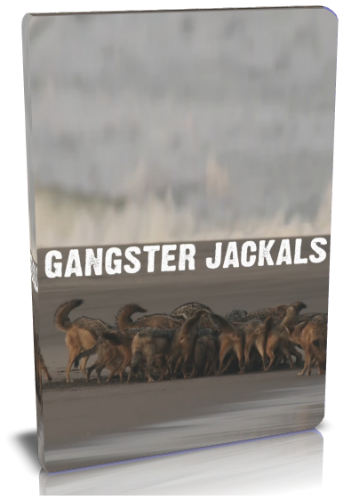 Шакалы-ганстеры / NAT GEO WILD. Gangster jackals VO