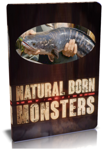 Прирождённые монстры. Змееголовая рыба / NAT GEO WILD. Natural born monsters VO