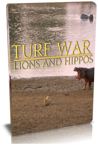 Война за территорию: львы и бегемоты / NAT GEO WILD. Turf War. Lions And Hippos VO