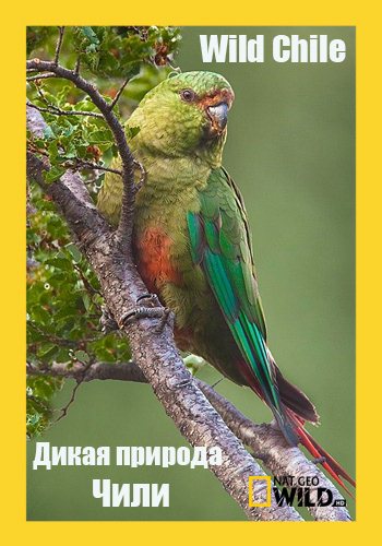 Дикая природа Чили (1-3 серии из 3) / Wild Chile VO