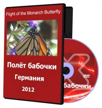 Полёт бабочки / Flight of the Monarch Butterfly VO