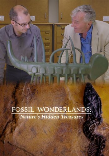 Ископаемые чудеса: Скрытые сокровища природы / Fossil Wonderlands: Nature's Hidden Treasures VO