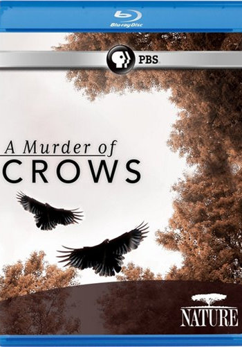 Воронья стая / A Murder of Crows VO