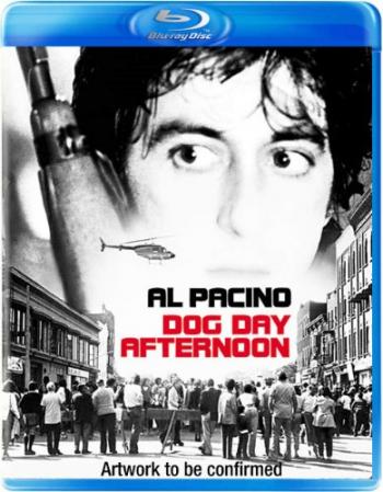 Собачий полдень / Dog Day Afternoon MVO
