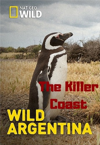 Дикая природа Аргентины. Убийственное побережье / NAT GEO WILD. Wild Argentina. The Killer Coast DUB