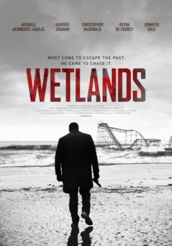 Болота / Wetlands MVO