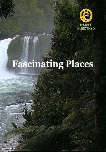 Захватывающие места (1 серия из 10) / Fascinating Places VO