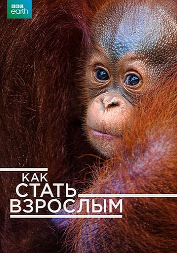 Как стать взрослым / Growing Up Wild VO