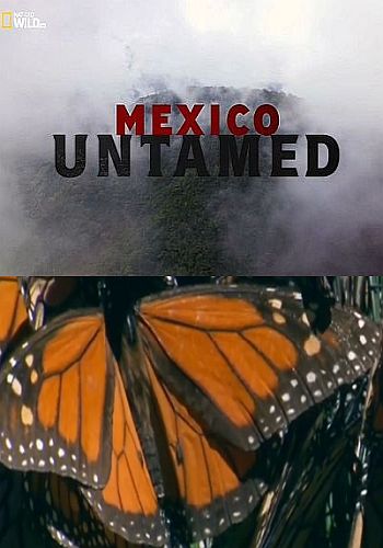 Непокорная Мексика (2 серии из 2) / Mexico Untamed VO
