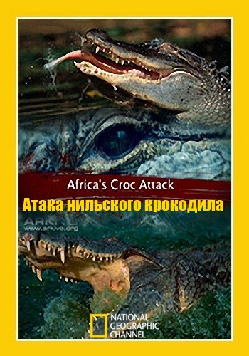 Атака нильского крокодила / NAT GEO WILD. Africa's Croc Attack VO