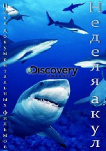 Неделя акул (1-13 серии из 13) / Discovery. Shark Week DUB