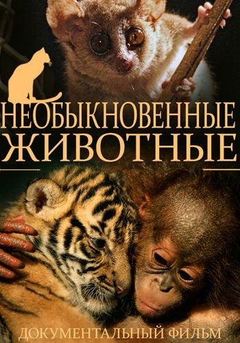 Необыкновенные животные (1-4 серии из 4) / Extraordinary Animals DVO