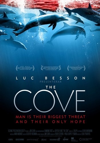 Бухта / The Cove DVO