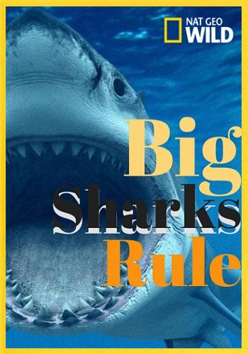 Царство больших акул / NAT GEO WIND. Big Sharks Rule VO