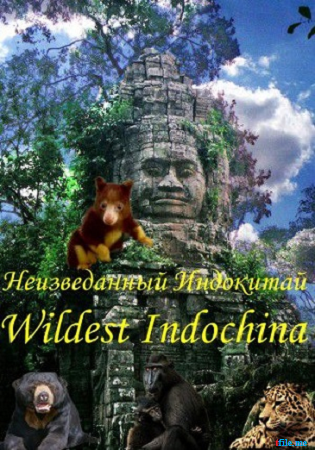 Неизведанный Индокитай (1-5 серии из 5) / Animal Planet. Wildest Indochina DUB