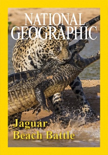 Охота ягуара на побережье / NAT GEO WILD. Jaguar Beach Battle VO