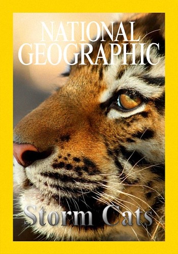 Грозовые кошки / NAT GEO WILD. Storm Cats VO