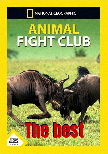 Бойцовский клуб для животных. Лучшее (1-6 серии из 6) / NAT GEO WILD. Animal Fight Club VO