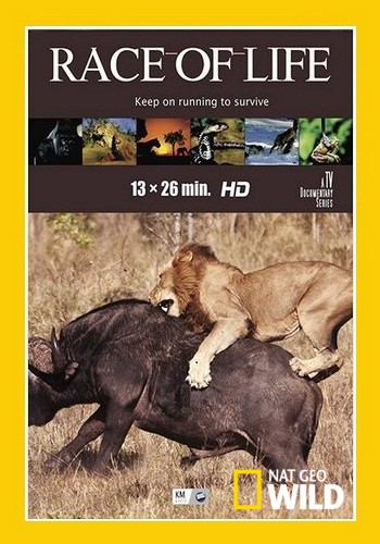 Гонка жизни (1 сезон, 1-13 серии из 13) / NAT GEO WILD. Race of Life VO
