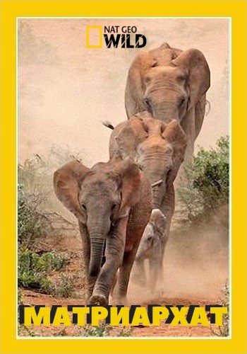 Матриархат / NAT GEO WILD. Girl Power VO