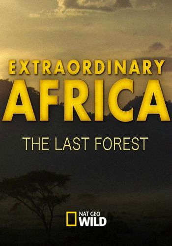 Невероятная Африка. Последний лес / NAT GEO WILD. Extraordinary Africa. The Last Forest VO
