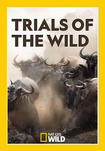 Испытания в дикой природе (1 cезон, 1-10 серии из 10) / NAT GEO WILD. Trials of the Wild VO
